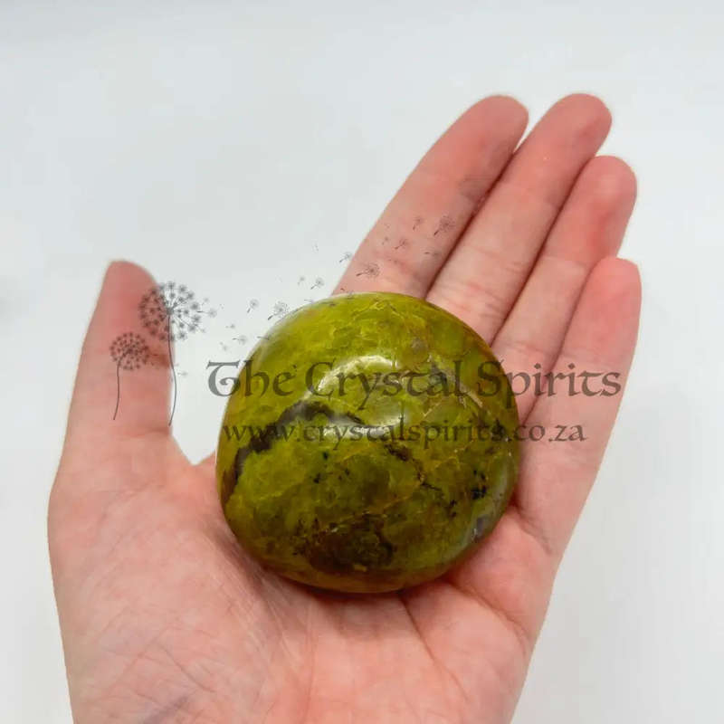 Green Opal Palm Stone From Madagascar