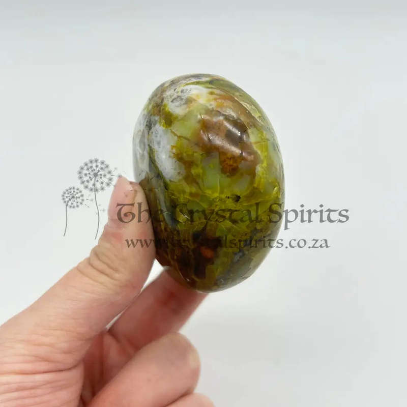Green Opal Palm Stone From Madagascar