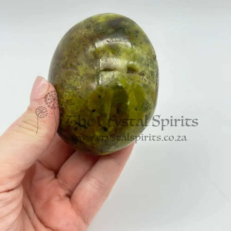 Green Opal Palm Stone From Madagascar