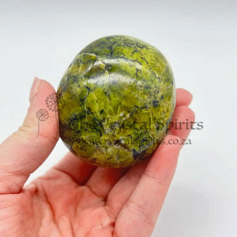 Green Opal Palm Stone From Madagascar