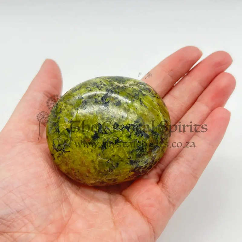 Green Opal Palm Stone From Madagascar