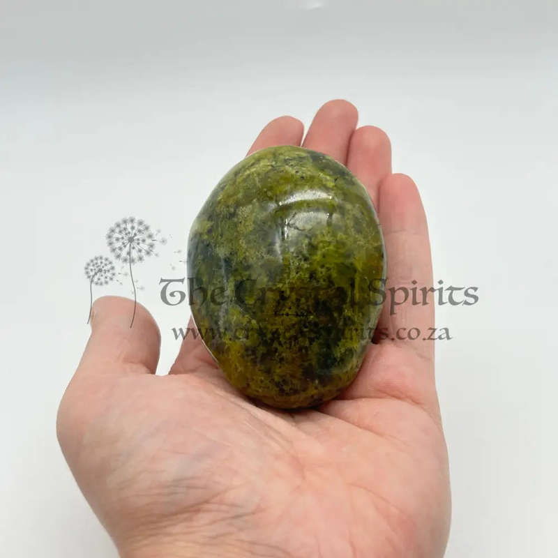 Green Opal Palm Stone From Madagascar