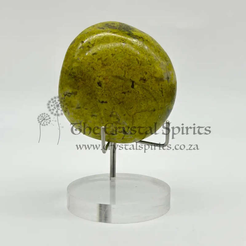 Green Opal Palm Stone From Madagascar