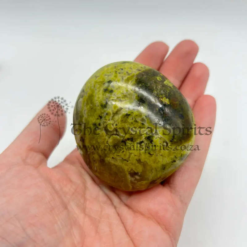 Green Opal Palm Stone From Madagascar