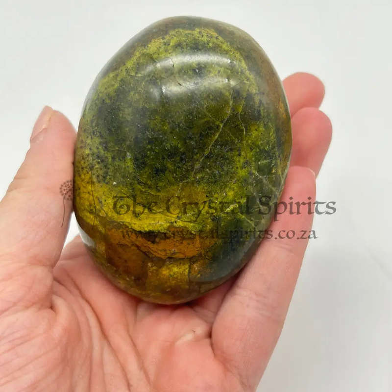 Green Opal Palm Stone From Madagascar