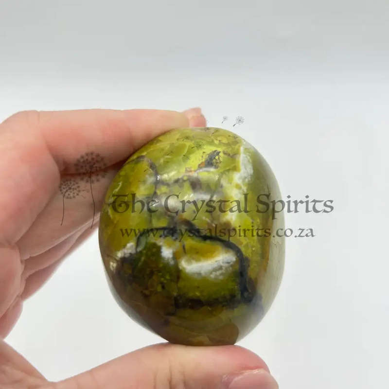 Green Opal Palm Stone From Madagascar