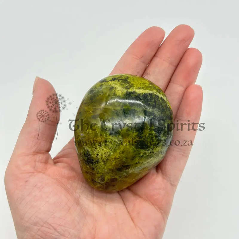 Green Opal Palm Stone From Madagascar