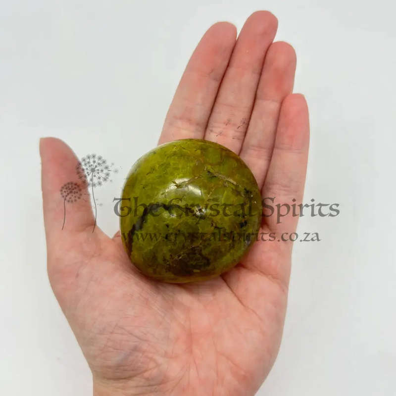 Green Opal Palm Stone From Madagascar