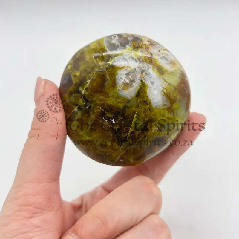 Green Opal Palm Stone From Madagascar