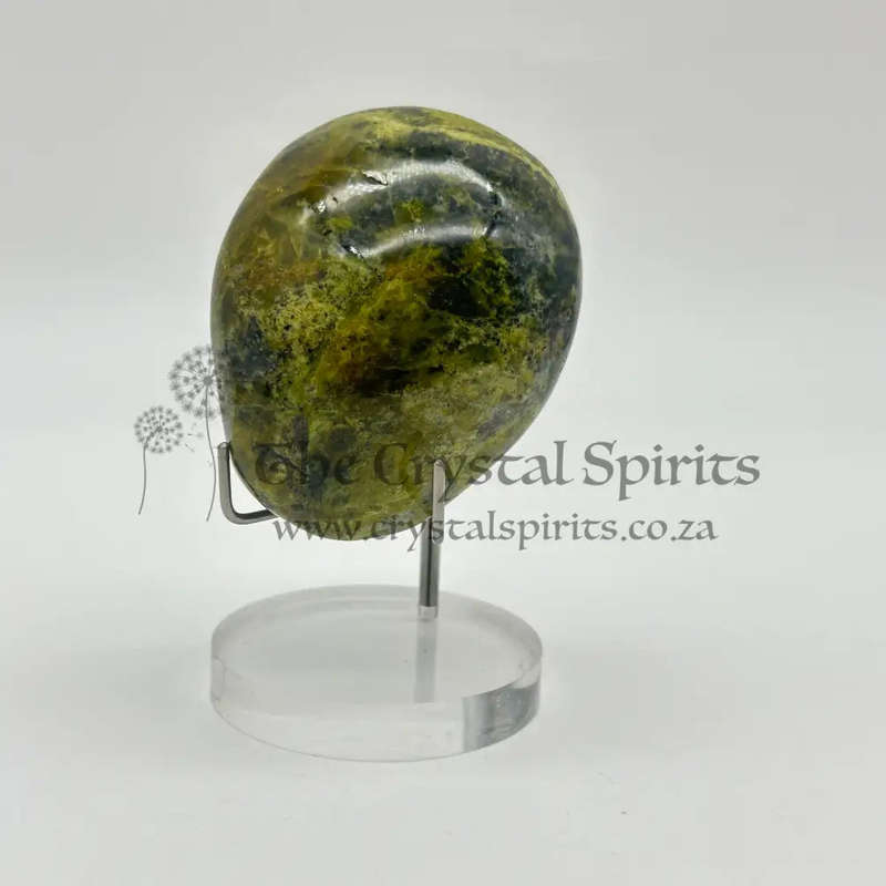 Green Opal Palm Stone From Madagascar