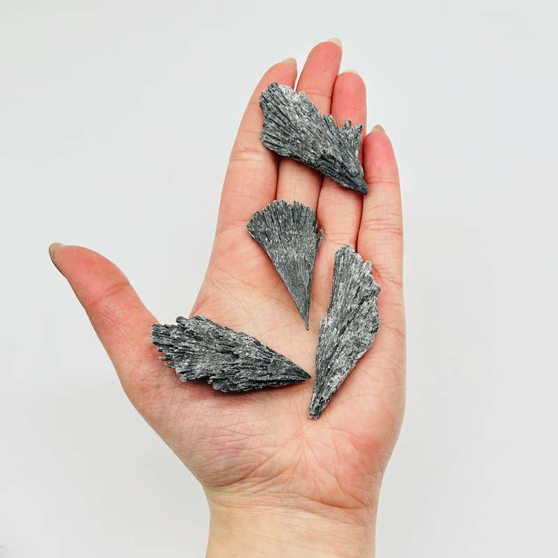 Rough Black Kyanite