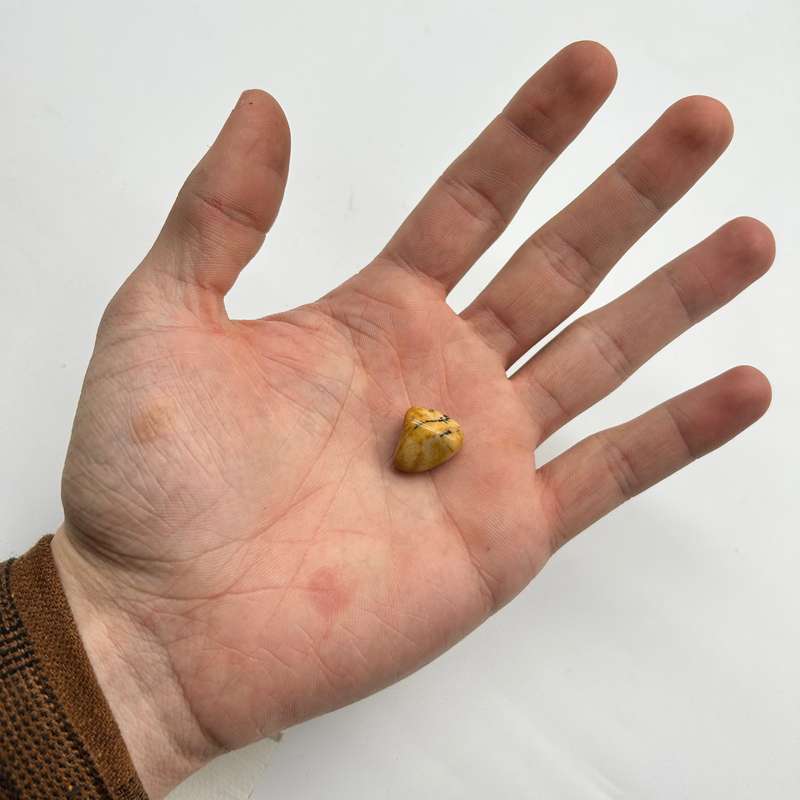 Yellow Jasper Tumbled Crystal