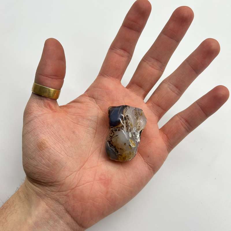 Tumbled Montana (Dendritic) Agate