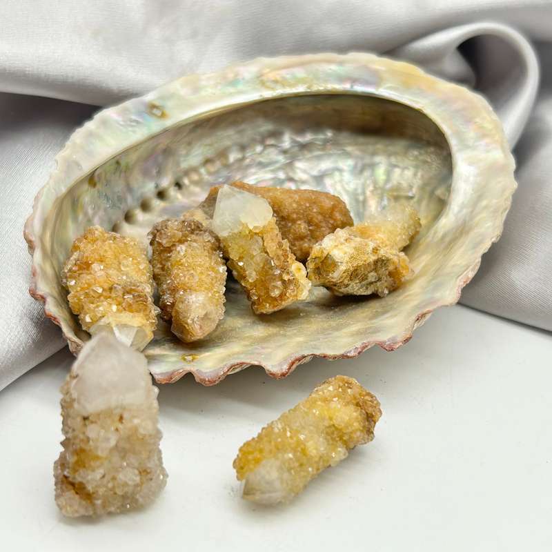 Small Cactus Quartz