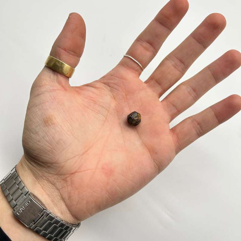 Small Dendritic Garnet