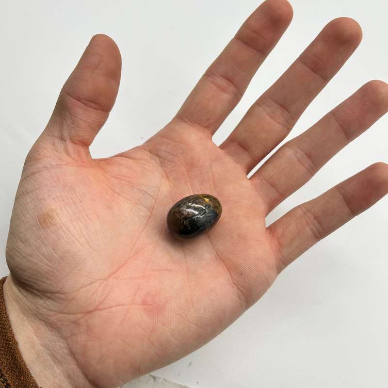 Tumbled Chiastolite