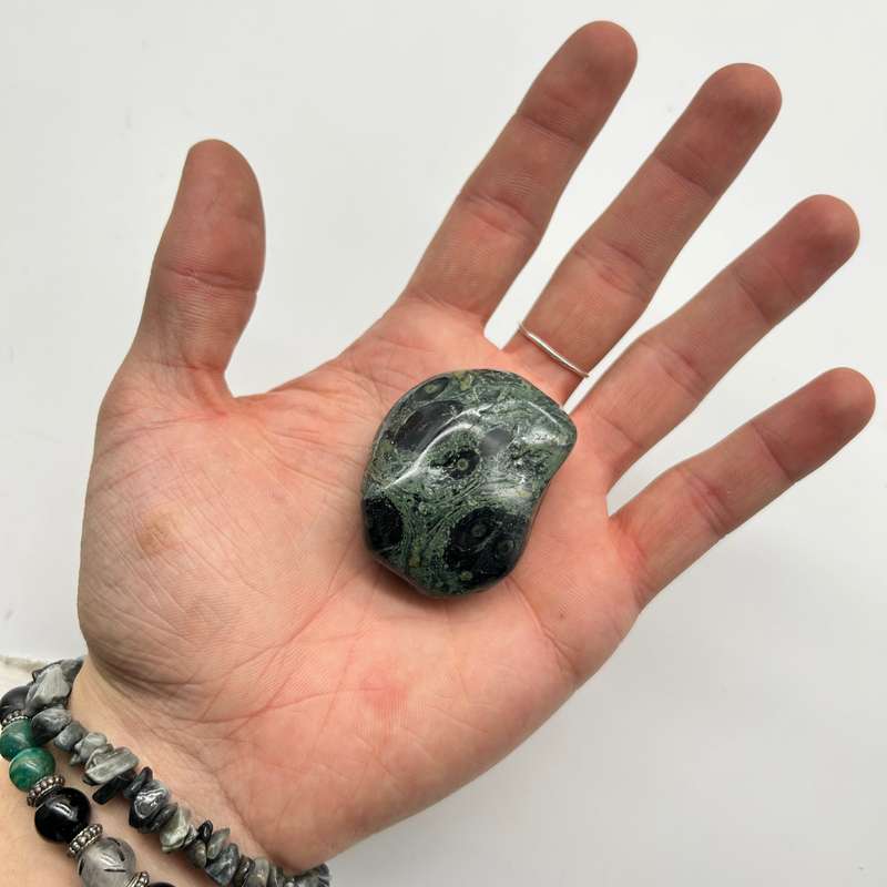 Large Tumbled Kambaba Jasper
