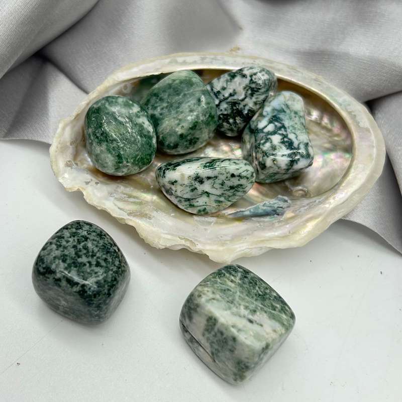 Tumbled Tree Agate