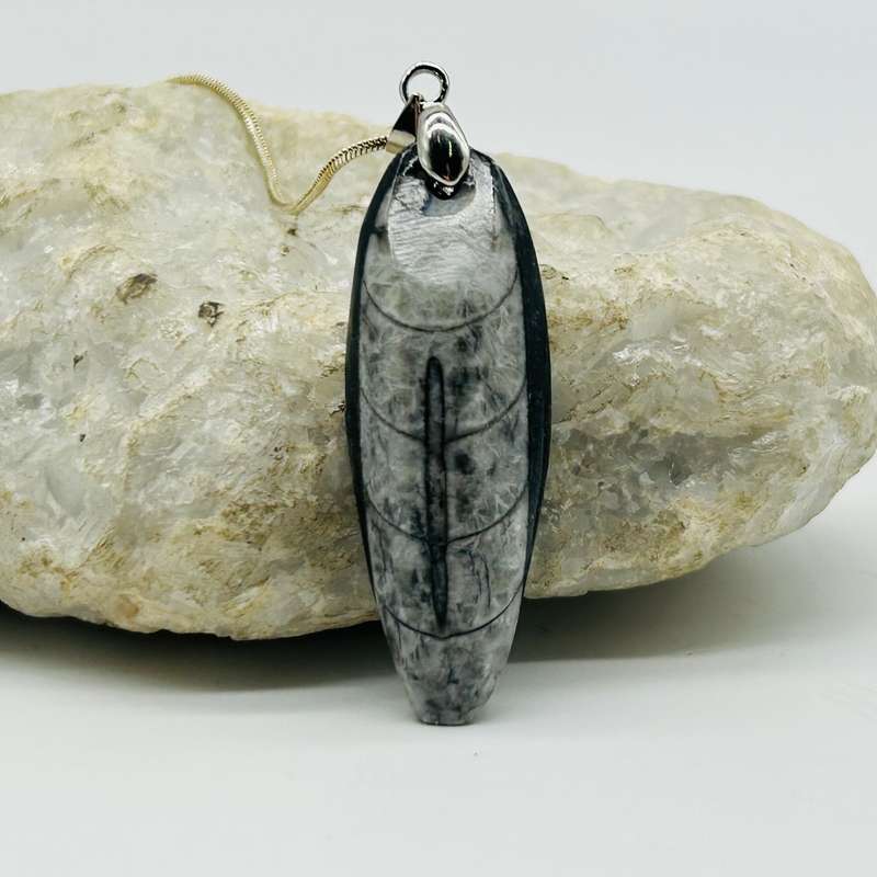 Trilobite Crystal Pendant