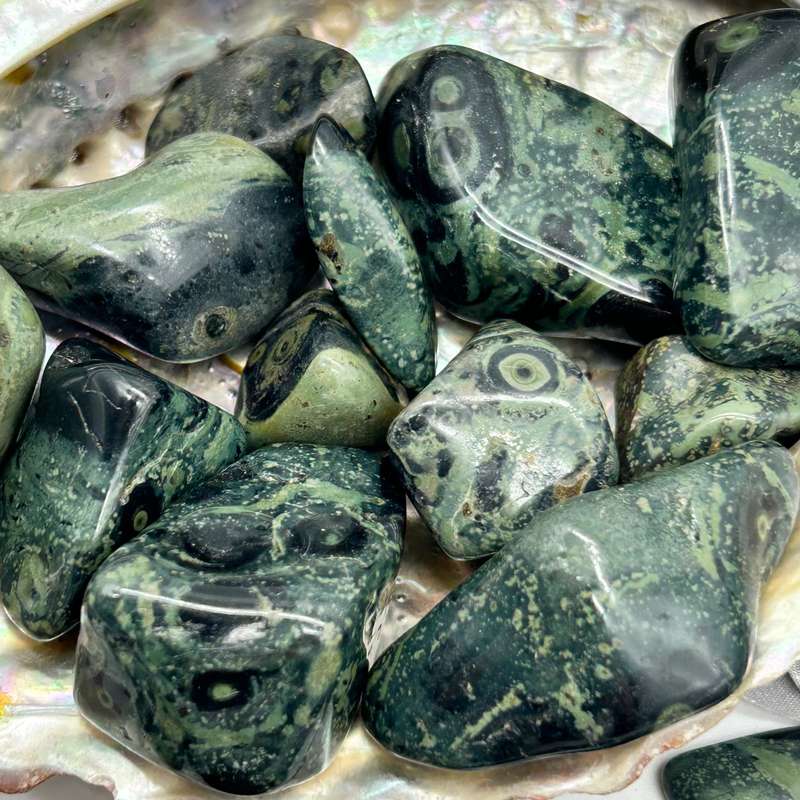 Medium Sized Tumbled Kambaba Jasper