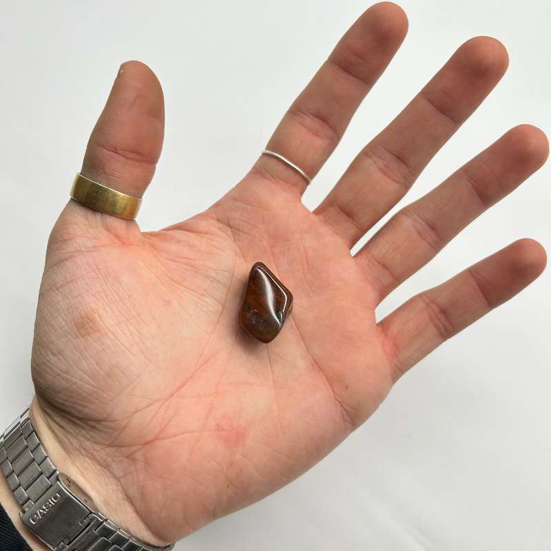 Tumbled Petrified Wood