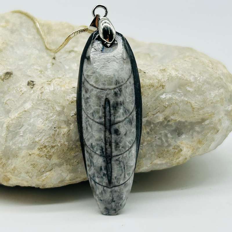 Trilobite Crystal Pendant
