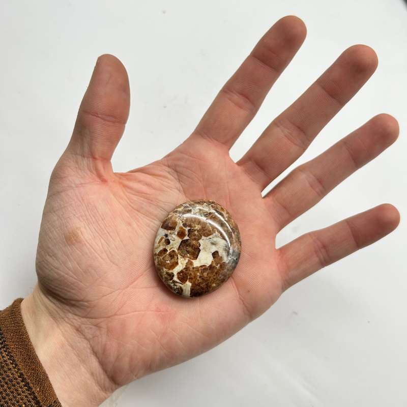 Garnet In Limestone Palm Piece