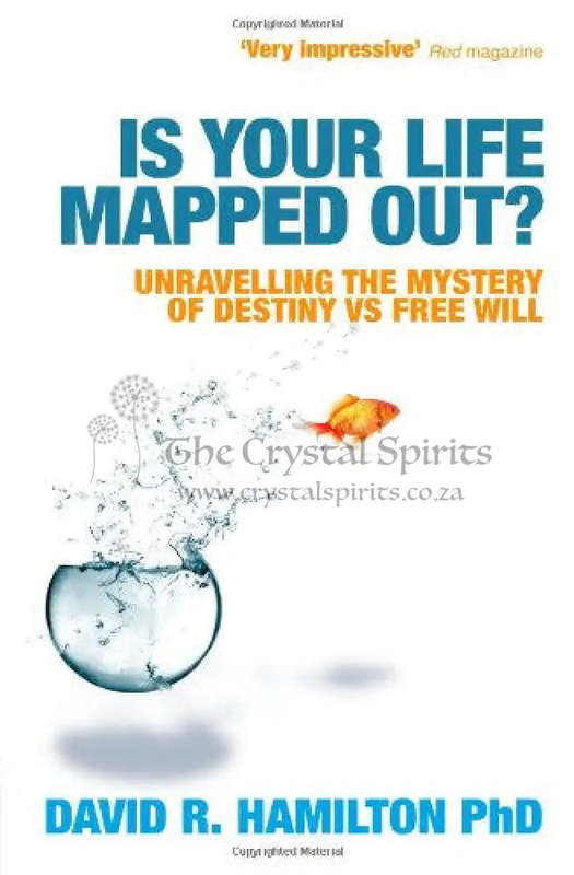 Is Your Life Mapped Out?: Unravelling the Mystery of Destiny vs Free Will by David Hamilton
