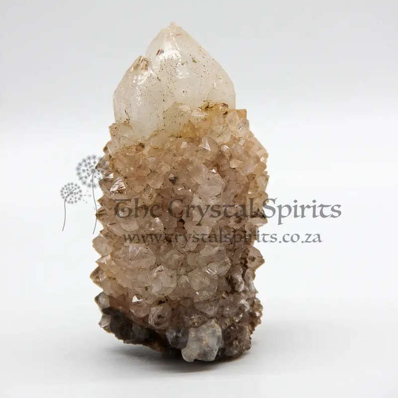King White Cactus Quartz