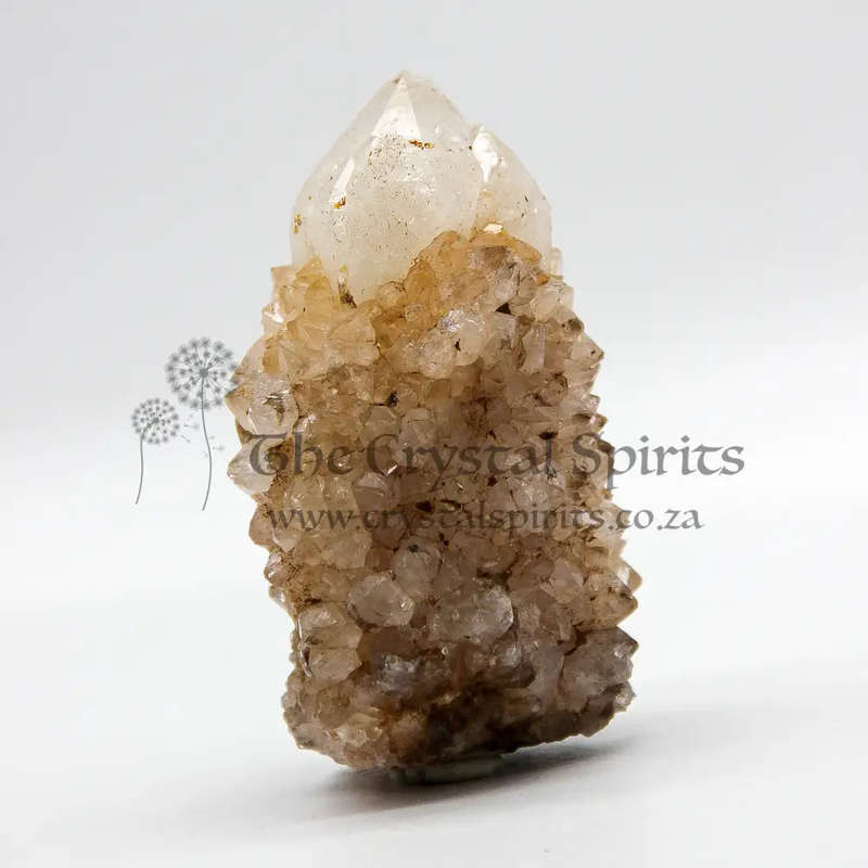 King White Cactus Quartz