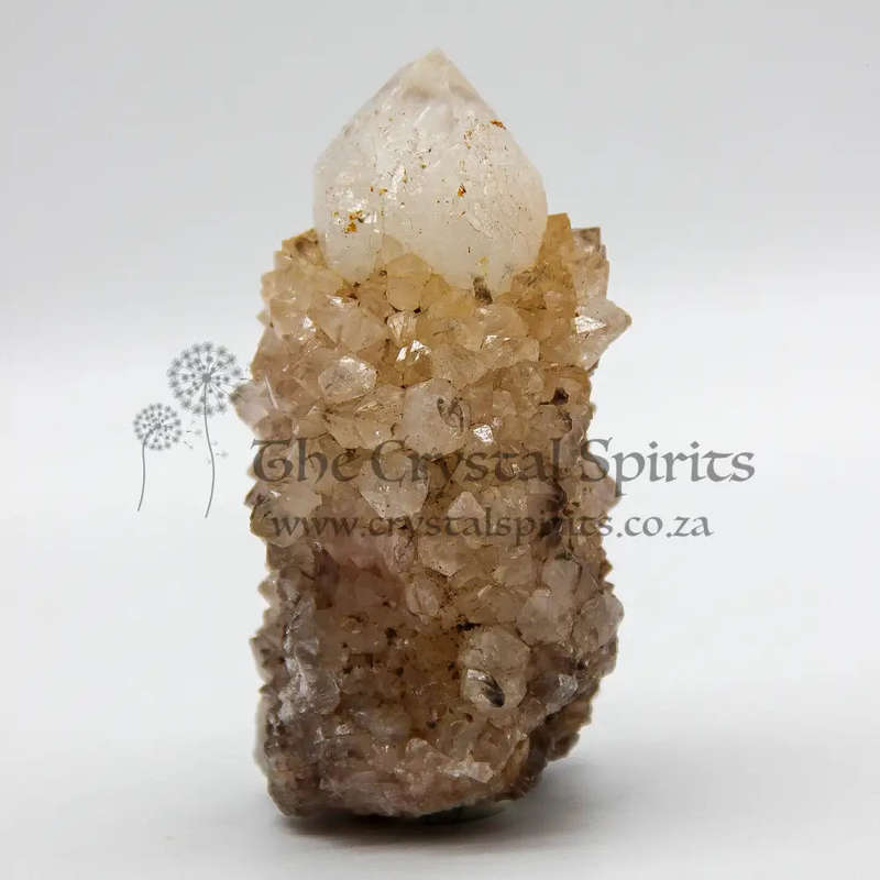 King White Cactus Quartz