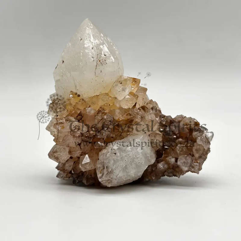 King White Cactus Quartz