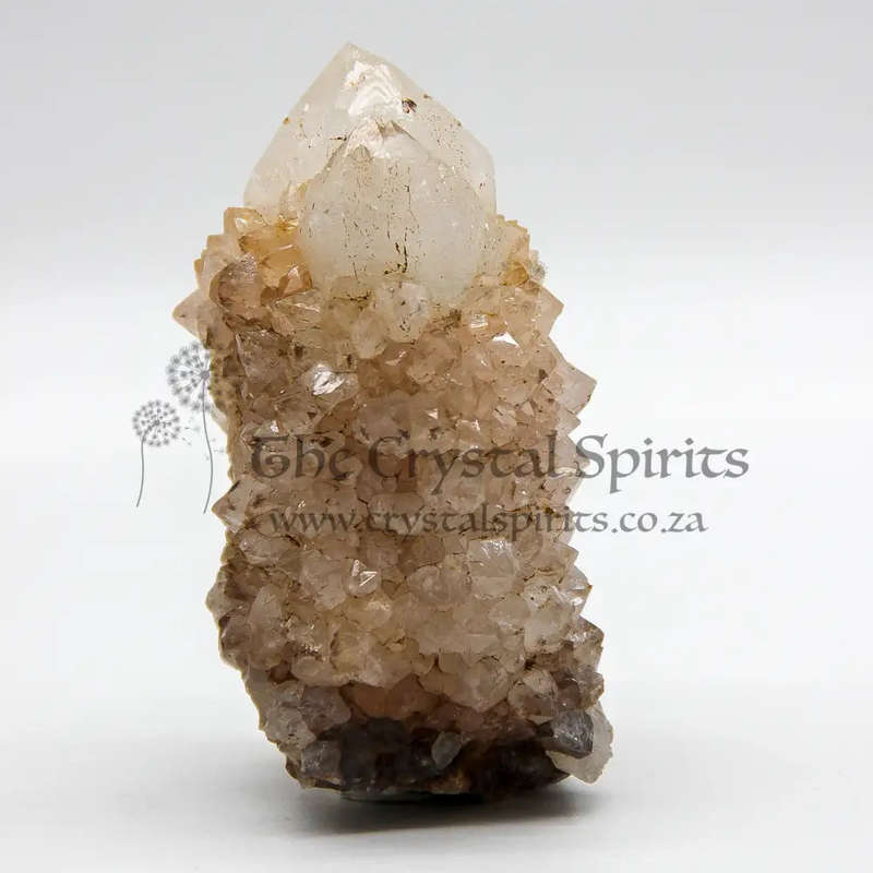 King White Cactus Quartz
