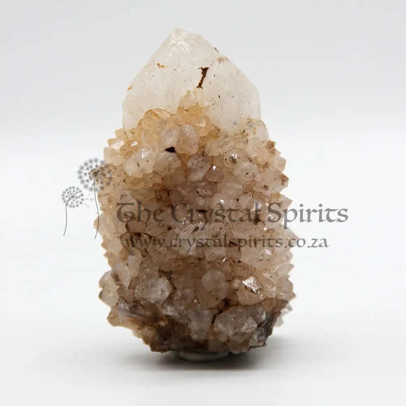 King White Cactus Quartz