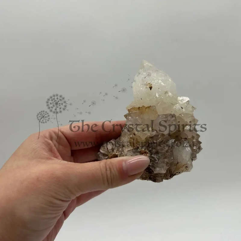 King White Cactus Quartz