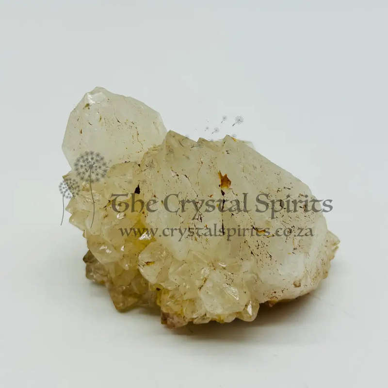 King White Cactus Quartz