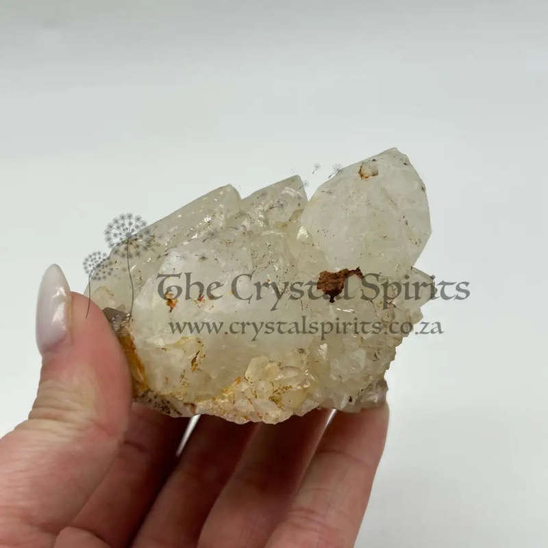 King White Cactus Quartz