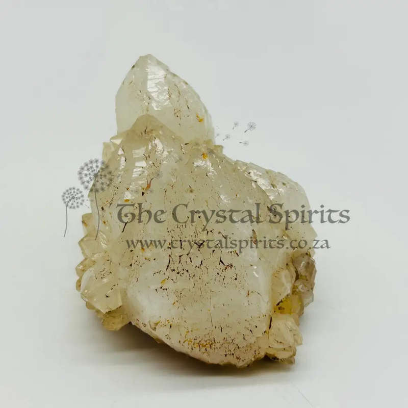 King White Cactus Quartz
