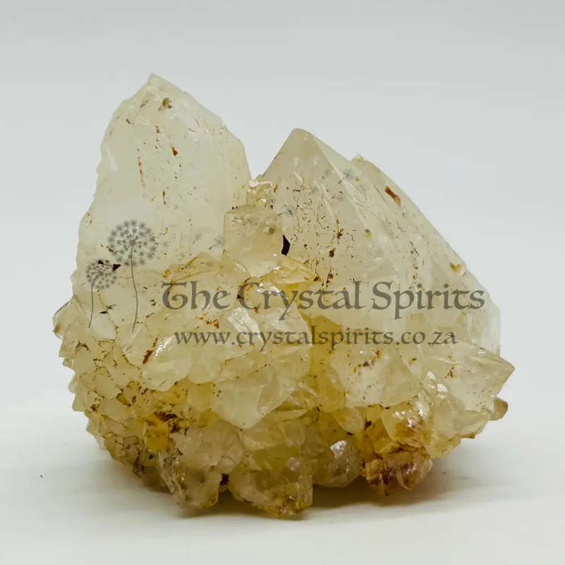 King White Cactus Quartz