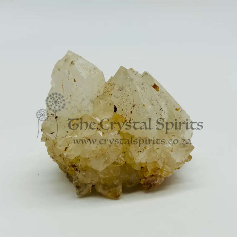 King White Cactus Quartz