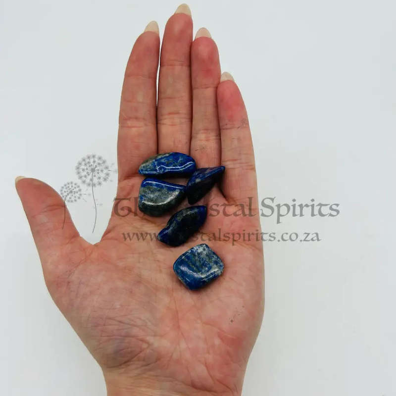 Lapis Lazuli Tumbled Small