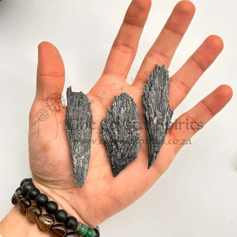 Large Black Kyanite