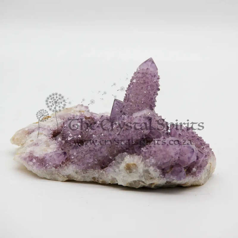 Large Cactus Quartz