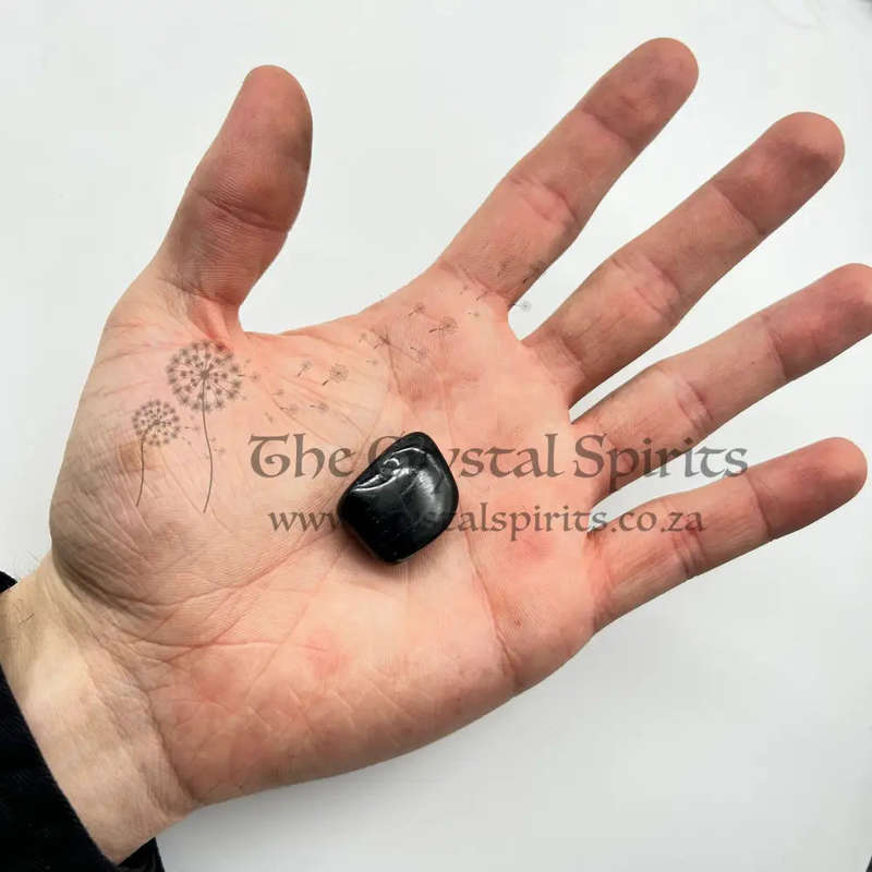 Large Tumbled Astrophyllite