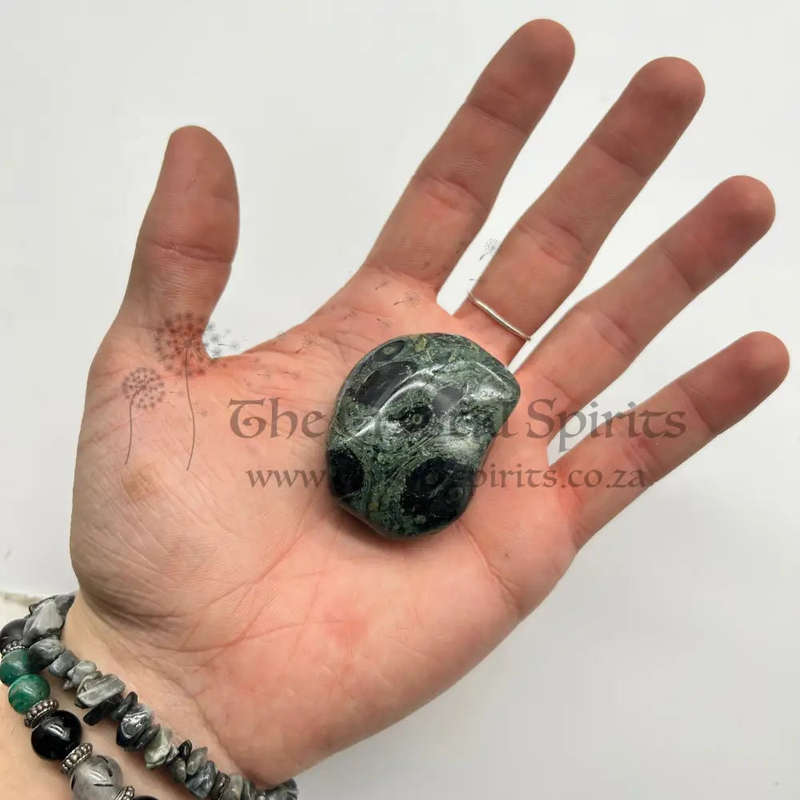 Large Tumbled Kambaba Jasper