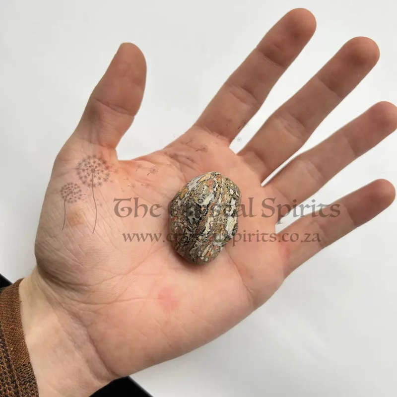 Large Tumbled Leopard Skin Jasper