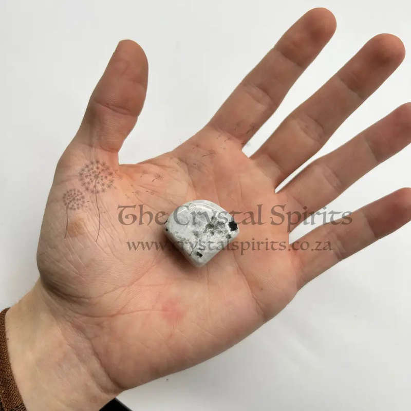 Large Tumbled Moonstone