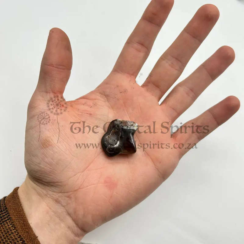 Large Tumbled Pietersite