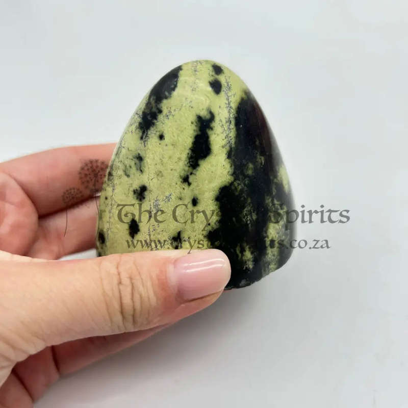Leopard Stone Galei