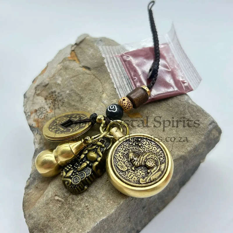 Lucky Spinning Coin Keyring -  Rat
